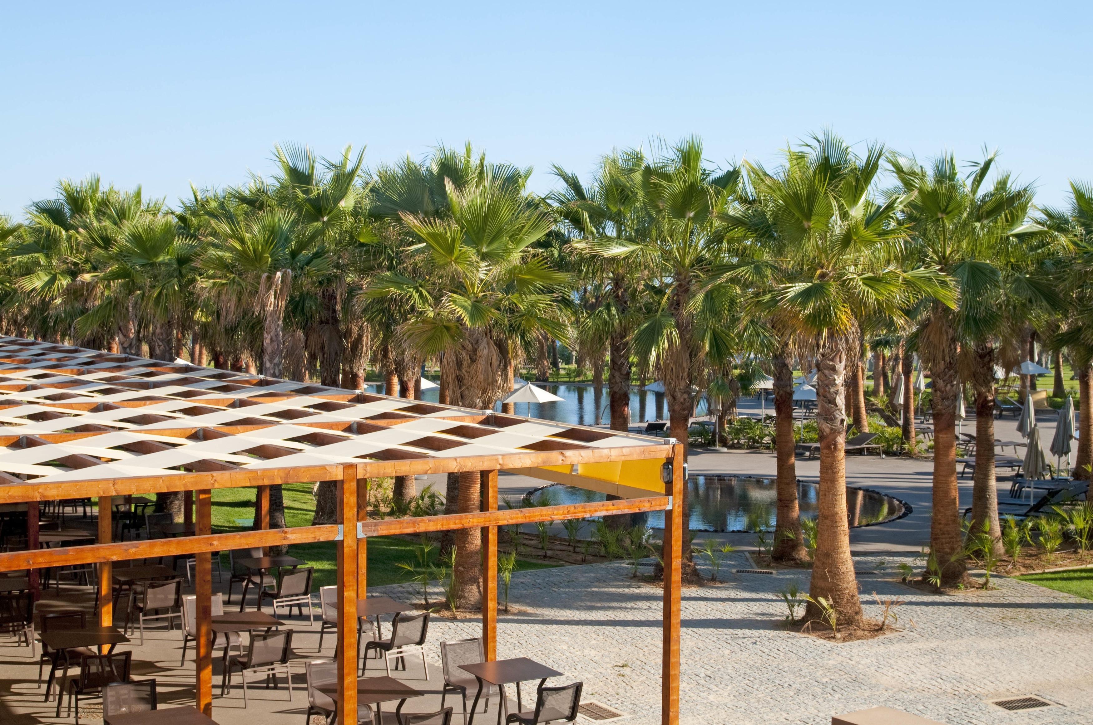 ホテル サン ラファエル アトランティコ アルブフェイラ エクステリア 写真 Palm trees in the park