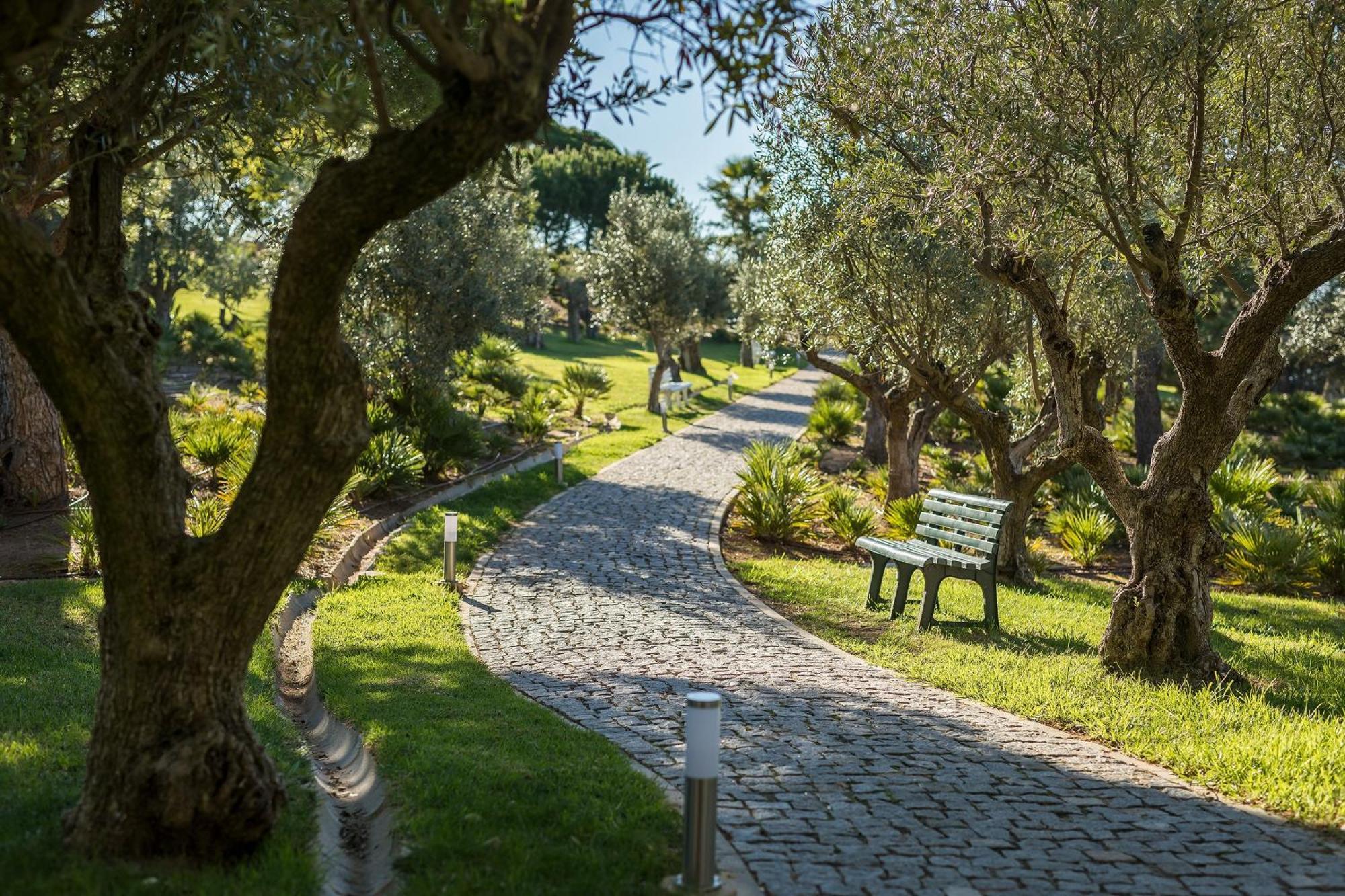 ホテル サン ラファエル アトランティコ アルブフェイラ エクステリア 写真 Olive trees in the park